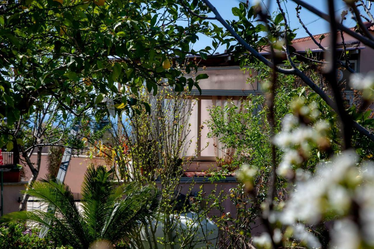 Villa Panoramica Terracina Værelse billede